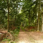 Апартаменты Terrace Apartment, *