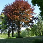 Terrace Apartment, * Труа-Пон