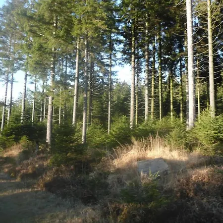 Terrace Apartment, * Trois-Ponts