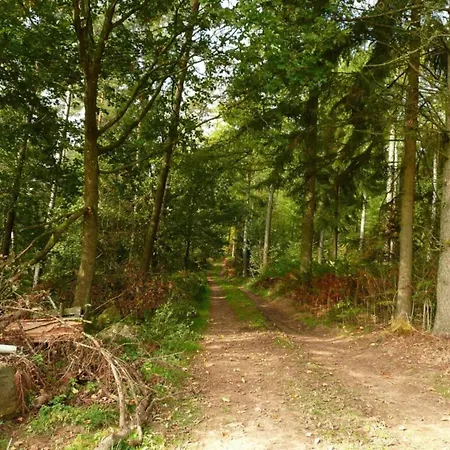 Appartement Terrace Apartment, *