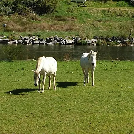 Appartement Terrace Apartment, Trois-Ponts