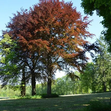 Terrace Apartment, * Trois-Ponts
