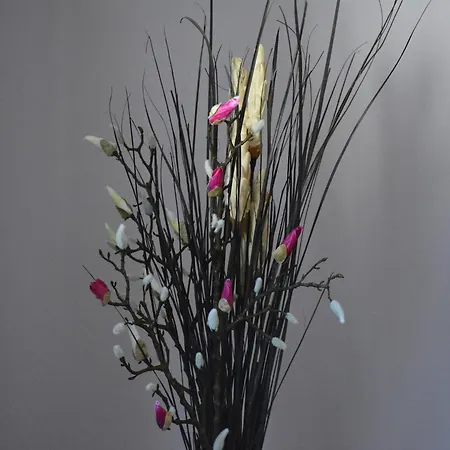 Appartement Terrace Apartment, Trois-Ponts