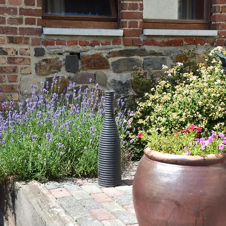 Terrace Apartment, Appartement